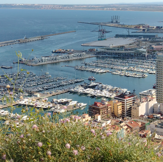 A harbor with many boats