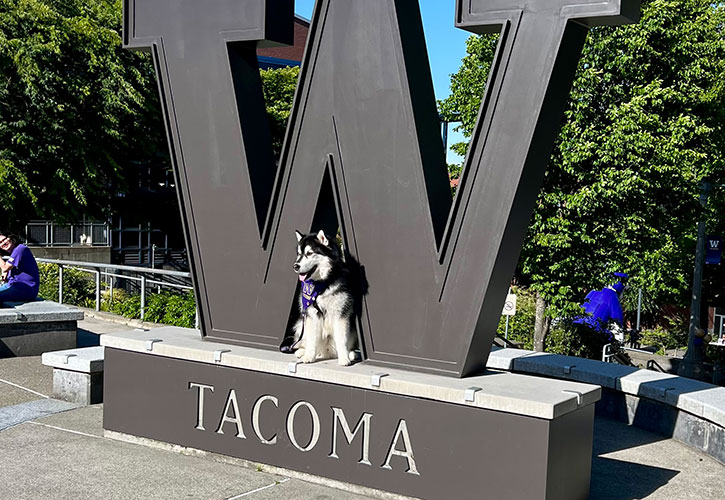 Dubs the Dawg in the W