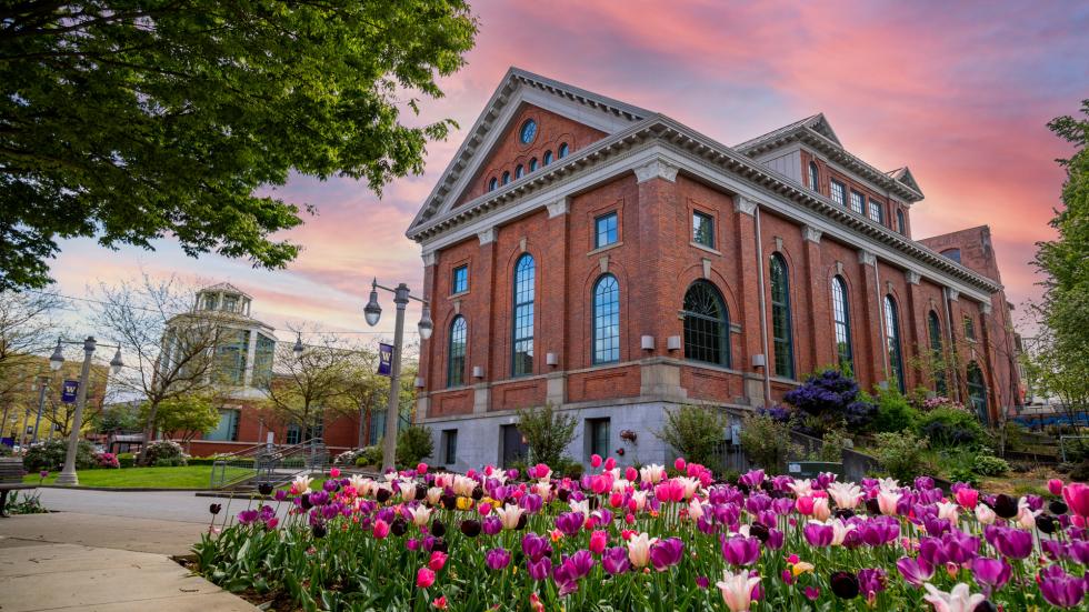 Work At UW Tacoma Human Resources University Of Washington Tacoma   Sno Sunset Flowers 