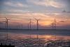 Photo of a field of windmills at sunset