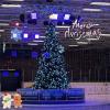 The photo of Christmas tree taken at ice skating site.